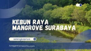 Kebun Raya Mangrove Surabaya
