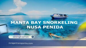 Manta Bay Snorkeling Nusa Penida