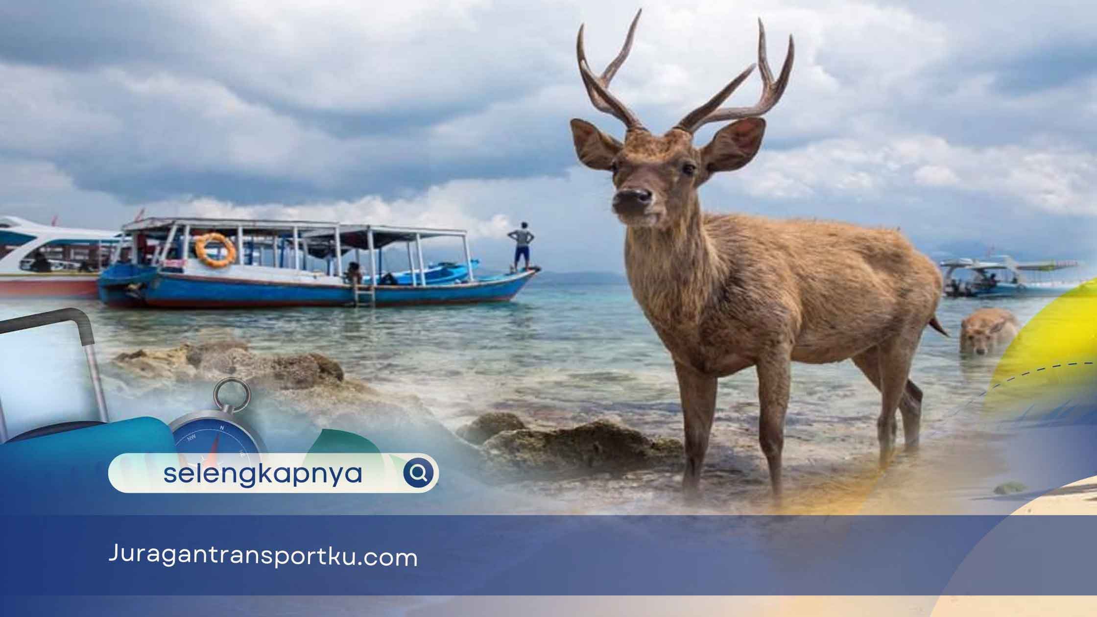 Pesona Wisata Pulau Menjangan dan Hotel Terdekat